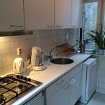 Rent 1 bedroom apartment of 37 m² in Leiden