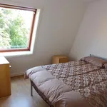 Rent 1 bedroom apartment in Manchester