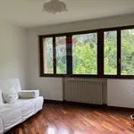 Affitto 5 camera casa di 170 m² in Reggio nell'Emilia