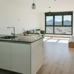 Rent 2 bedroom apartment of 84 m² in Málaga