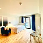 Rent 1 bedroom apartment of 27 m² in Berlin