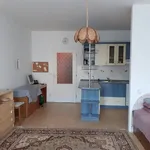 Rent 1 bedroom apartment in Trutnov