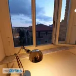 Rent 3 bedroom apartment of 70 m² in Turin