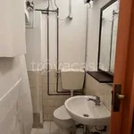 Rent 1 bedroom apartment of 20 m² in Bologna