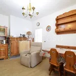 Rent 3 bedroom apartment of 75 m² in Perugia