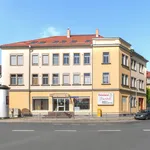 Rent 1 bedroom apartment of 32 m² in Dresden