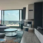 Rent 4 bedroom apartment of 145 m² in Turin