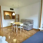 Rent 1 bedroom apartment of 46 m² in Madrid