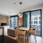 Rent 1 bedroom apartment of 43 m² in Dresden