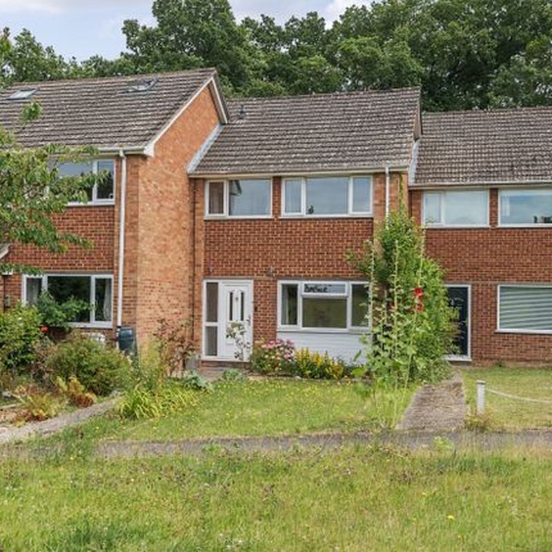 Terraced house to rent in Whitmore Green, Farnham, Surrey GU9