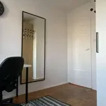 Rent a room of 95 m² in wroclaw