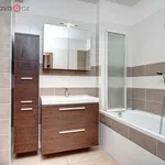 Rent 4 bedroom apartment of 120 m² in Brno