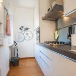 Rent 1 bedroom apartment of 55 m² in rome