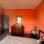 Rent 2 bedroom apartment of 80 m² in Novara