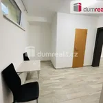 Rent 1 bedroom apartment in Břeclav