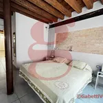 Rent 2 bedroom apartment of 66 m² in Venezia