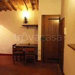 Rent 2 bedroom apartment of 52 m² in Castelnuovo Berardenga