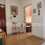 Rent 1 bedroom apartment of 55 m² in Rome