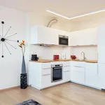 Pronajměte si 1 ložnic/e byt o rozloze 70 m² v Prague