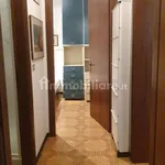 Rent 3 bedroom apartment of 100 m² in Pisa