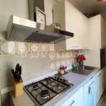 Rent 3 bedroom apartment of 96 m² in Roma