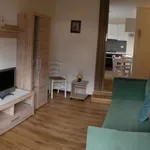 Rent 2 bedroom apartment of 50 m² in Comelico Superiore