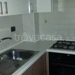 Rent 3 bedroom apartment of 85 m² in Frosinone