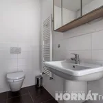 Rent 1 bedroom apartment in Capital City of Prague