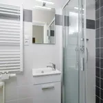 Rent 1 bedroom apartment in Prague