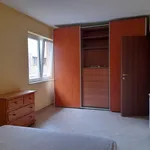 Affitto 3 camera appartamento di 55 m² in Roma