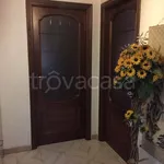 Rent 2 bedroom apartment of 65 m² in Torino