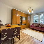 Rent 2 bedroom apartment of 37 m² in Chełm