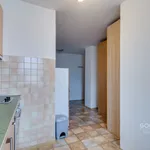 Pronajměte si 1 ložnic/e byt o rozloze 36 m² v Prague