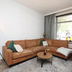 Rent 2 bedroom house of 125 m² in Tilburg