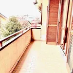 Rent 1 bedroom apartment of 50 m² in Legnano