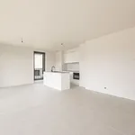  appartement avec 1 chambre(s) en location à Boechout