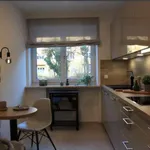 Rent 1 bedroom apartment in munich