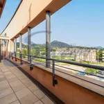 Rent 3 bedroom apartment of 120 m² in erba