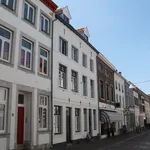 Rent 2 bedroom apartment of 48 m² in Sittard