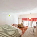 Rent 1 bedroom apartment in Florence