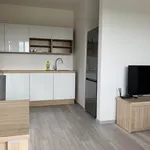 Pronajměte si 1 ložnic/e byt o rozloze 54 m² v Prague