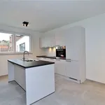 Rent 2 bedroom apartment in HALLE