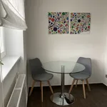 Rent 1 bedroom apartment of 34 m² in Prague