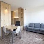 Rent 1 bedroom apartment in Praha 9