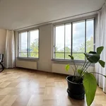 Rent 2 bedroom apartment of 99 m² in Utrecht