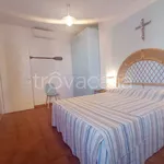 Rent 3 bedroom apartment of 98 m² in Nettuno