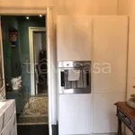 Rent 3 bedroom apartment of 95 m² in Torino