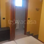 Rent 2 bedroom apartment of 60 m² in Pomezia