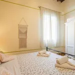 Rent 2 bedroom apartment of 60 m² in florence