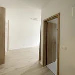 Rent 4 bedroom apartment of 117 m² in Budapest